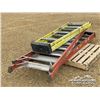 Image 2 : (3) LADDERS