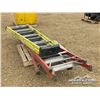 Image 3 : (3) LADDERS