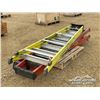 Image 4 : (3) LADDERS