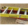Image 7 : (3) LADDERS