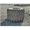 Image 3 : 3x44-32 FIRESTONE FORESTRY FLOATER TIRE