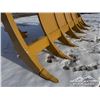 Image 8 : CATERPILLAR 148 IN. D8 BRUSH RAKE