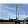 Image 12 : 2021 DOEPKER 53 FT. TRIDEM HAYRACK LOG TRAILER