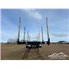 Image 2 : 2021 DOEPKER 53 FT. TRIDEM HAYRACK LOG TRAILER