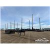 Image 3 : 2021 DOEPKER 53 FT. TRIDEM HAYRACK LOG TRAILER