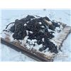 Image 3 : MISC CHAINS & TIEDOWNS