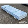Image 2 : (40) POLYCARBONATE MULTI-WALL  PANE