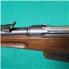 Image 11 : Schmidt-Rubin 1889 Rifle