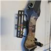 Image 6 : SIR Viper Compound Bow