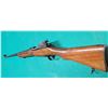 Image 1 : P14 Enfield 303 British Sporterized