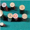 Image 4 : Assorted Collectable Shotgun Ammo