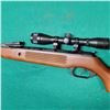 Image 9 : Winchester .177 Cal Pellet Rifle