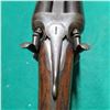 Image 9 : Army & Navy C.S.L. 12ga Rifled Double Rifle  "Jungle Gun"