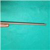 Image 5 : Henry  HO15-410 Single Shot Shotgun