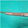 Image 9 : Henry  HO15-410 Single Shot Shotgun