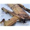Image 5 : 12 FT. GRADER SNOW BLADE