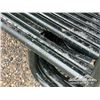 Image 11 : (24) 16 FT. LIVESTOCK PANELS