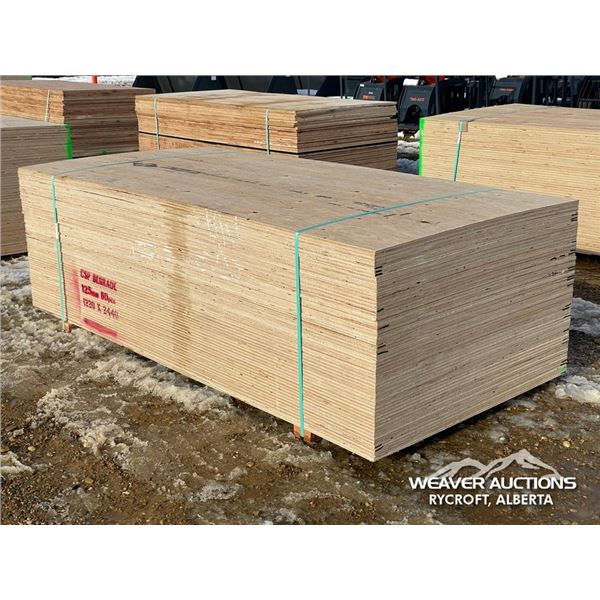 (60) 1/2 IN. X 4 X 8 FT. CSP/DFP NO STAMP PLYWOOD