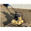 Image 2 : 2019 LINCIN MS120 PLATE COMPACTOR