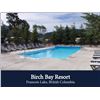Image 3 : BIRCH BAY RESORT: RV LOT #26