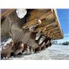 Image 24 : 2005 CAT CP-433E PADFOOT DRUM COMPACTOR