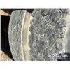 Image 18 : 2004 LODE KING SUPER-B GRAIN TRAILERS