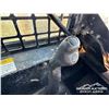 Image 9 : 2000 JOHN DEERE 260 2-SPEED SKID STEER LOADER