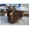 Image 3 : 300 350 EXCAVATOR V BUCKET