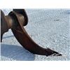 Image 5 : WELDCO BEALS EXCAVATOR RIPPER