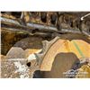 Image 26 : 1999 JOHN DEERE 650H LGP CRAWLER DOZER