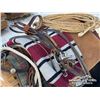 Image 6 : HORSE TACK & SUPPLIES