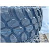 Image 6 : (2) JOYROAD 31X10.50R15 TIRES