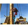 Image 34 : 1981 CAT 561B PIPELAYER