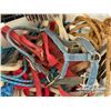 Image 8 : HORSE TACK W/SADDLE STAND & CHAPS