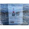 Image 4 : (250) SAFETY CONES