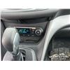 Image 21 : 2014 FORD ESCAPE SPORTS UTILITY VEHICLE