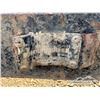 Image 5 : 2012 BOBCAT SKID STEER PALLET FORKS