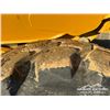 Image 27 : 2016 JOHN DEERE 410ET ARTICULATED DUMP TRUCK