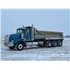 Image 1 : 2007 WESTERN STAR 4900 TRI/A DUMP TRUCK
