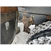 Image 52 : 2007 WESTERN STAR 4900 TRI/A DUMP TRUCK