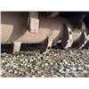 Image 21 : 2008 RISLEY ECLIPS EX300 TRACKED MULCHER