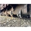 Image 22 : 2008 RISLEY ECLIPS EX300 TRACKED MULCHER