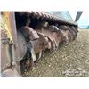 Image 32 : 2007 RISLEY ECLIPS EX400 TRACKED MULCHER