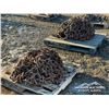 Image 3 : SKIDDER TIRE CHAINS