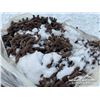 Image 5 : PALLET OF 23.5 X 25 TIRE CHAINS