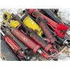 Image 6 : HYDRAULIC RAMS