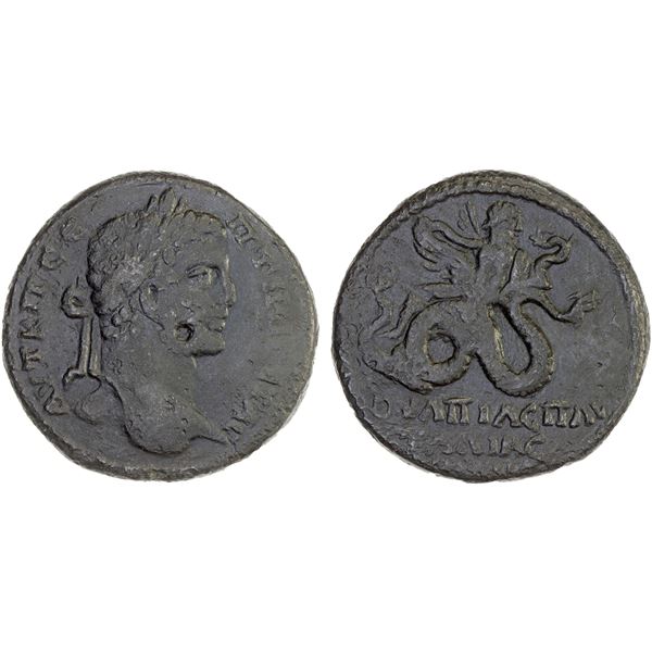 ROMAN PROVINCIAL, THRACE: Pautalia, Geta, 209-211, AE30 (16.07g), VF