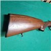 Image 7 : Merkel Drilling in 12ga 2 3/4" over 5.6x52R (.22 Savage High Power)