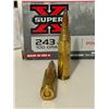 Image 6 : Mix ammo  243 win