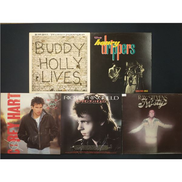 5 VINYL RECORD LOT – POP & ROCK / BUDDY HOLLY, RICK SPRINGFIELD / 1950s–1980s / CL